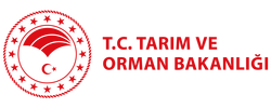 tarimormanLogo